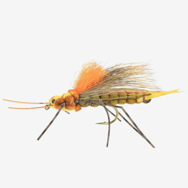 Fluttering Stonefly fly pattern - Salmonfly dry image