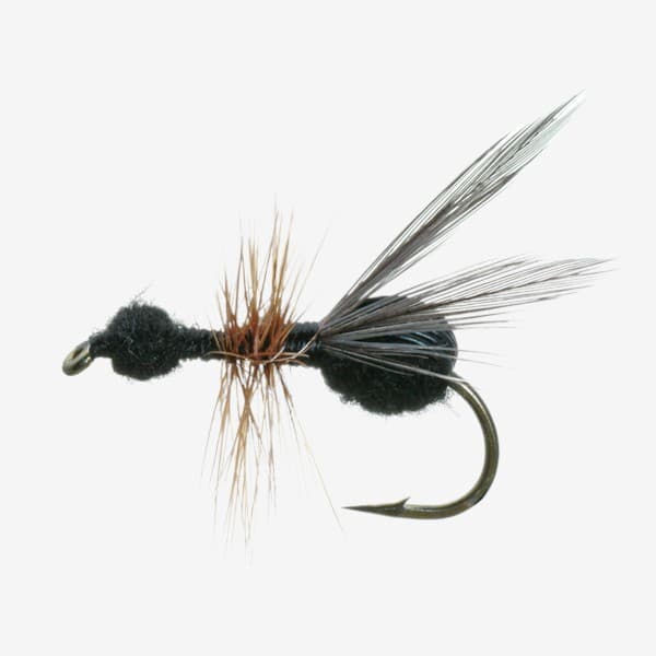 Flying Ant fly pattern - Ants dry image