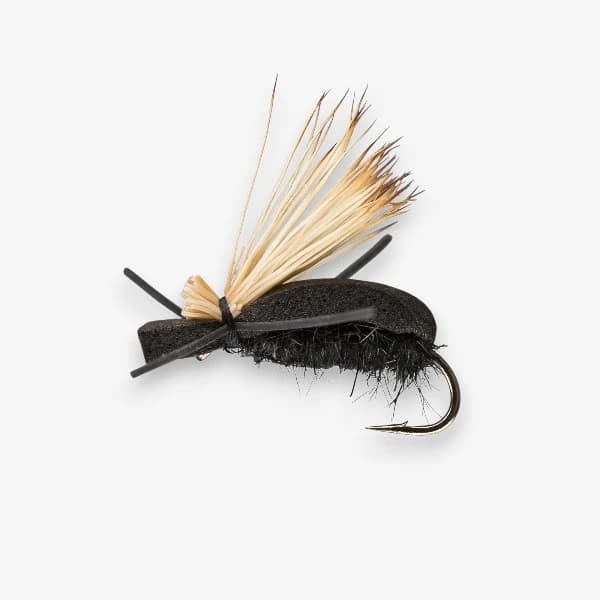 Flying Foam Beetle image