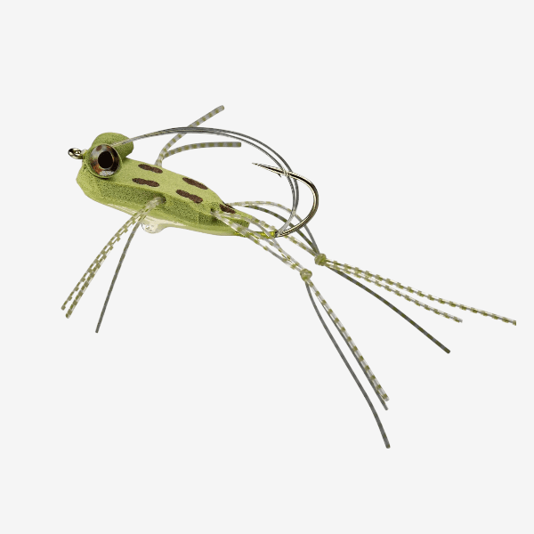 Foam Slice Frog fly pattern - Amphibians frogs image