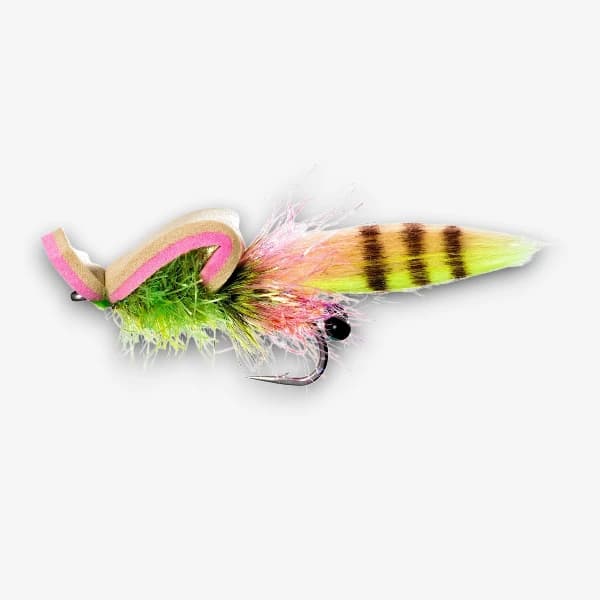 Gangster Gurgler fly pattern - Streamers Topwater attractor image