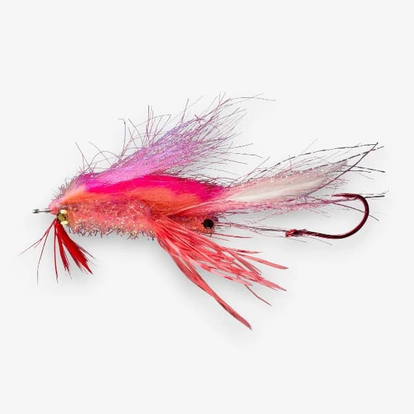 Ghostbuster Shrimp image