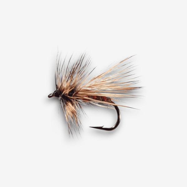 Ginger Caddis image