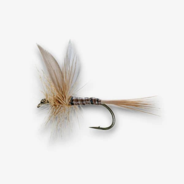 Ginger Quill Dun fly pattern - Mayfly dry image