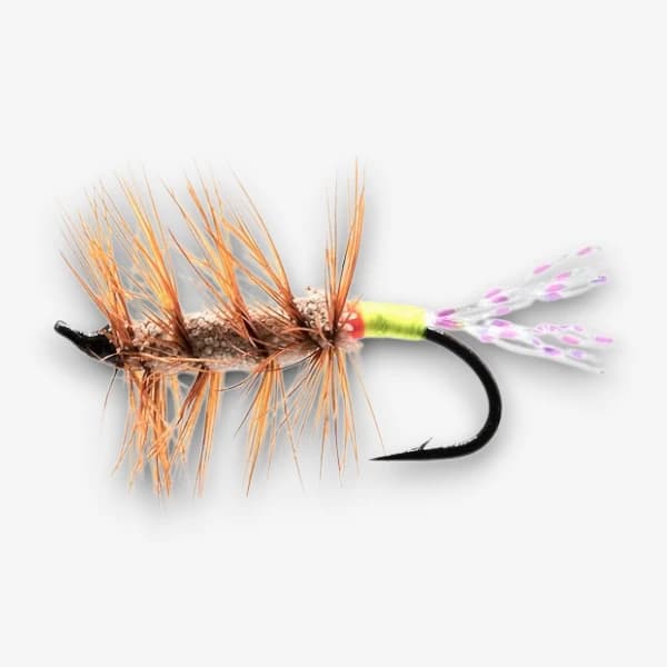 Glitter Bug fly pattern - Attractor Patterns attractor image