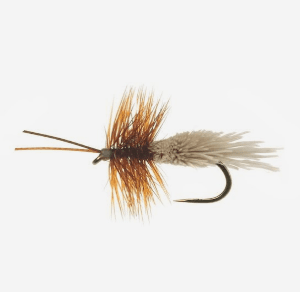 Goddard Caddis fly pattern - Caddis dry image