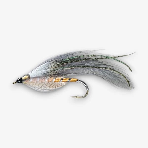 The Grey Ghost fly pattern - Wet Flies baitfish image