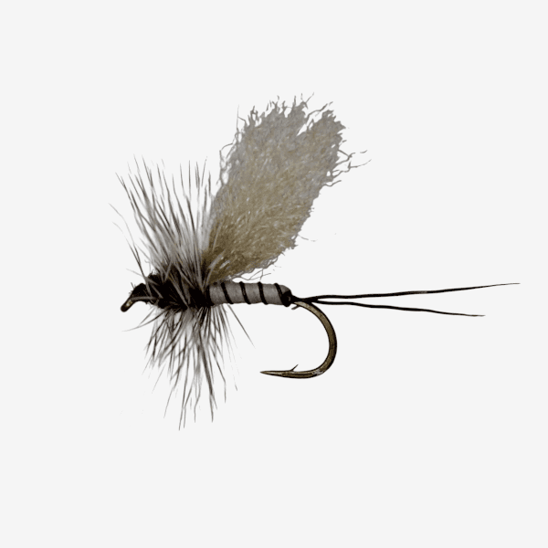 Gray Drake Dun fly pattern - Gray Drake dry image