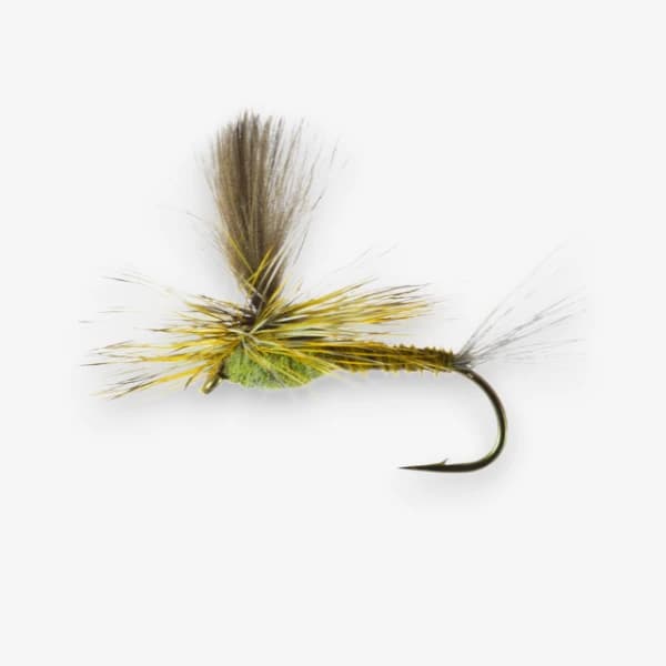 Parachute Green Drake fly pattern - Green Drake dry image
