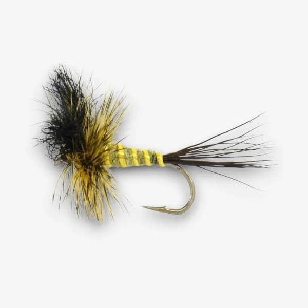 Wulff's Green Drake image