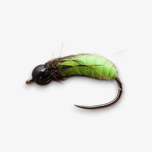 Green Juicy Caddis Pupa image