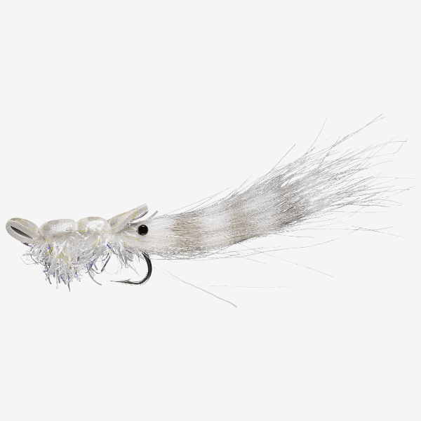 Guido Shrimp image