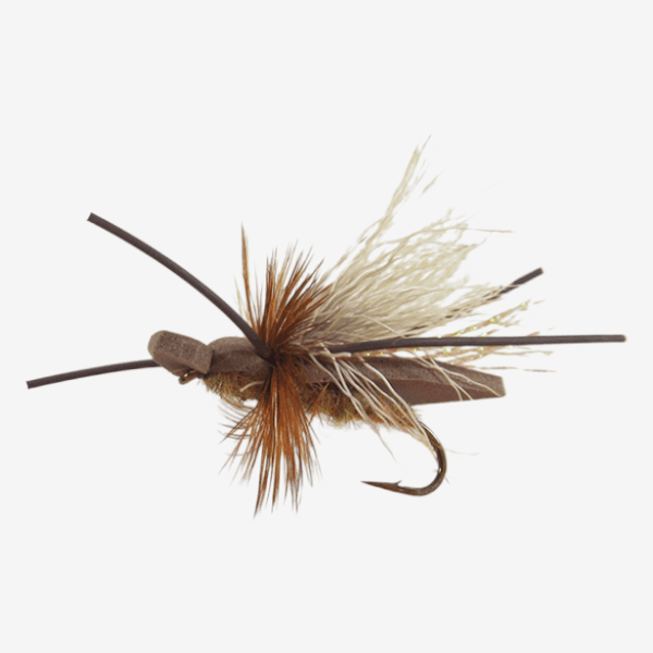 Gypsy King Dry image