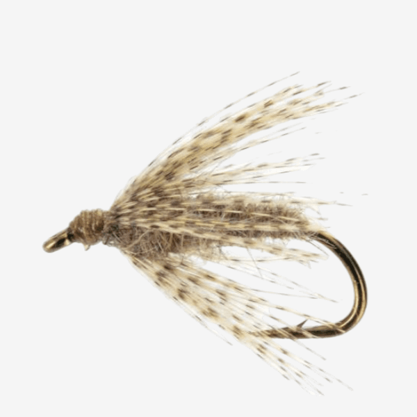 Hare's Ear Soft Hackle