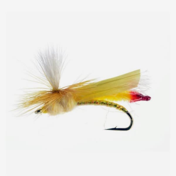 Headlight Sally  fly pattern - Yellow Sally dry image