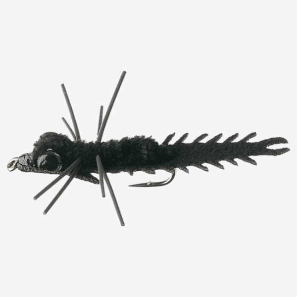 Hellgrammite Nymph image