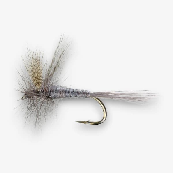 Hendrickson Dark Dun