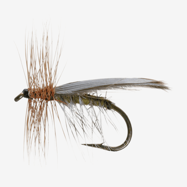 Henryville Special Caddis image