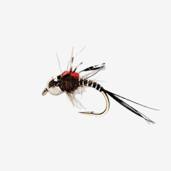 Higa's SOS Nymph image