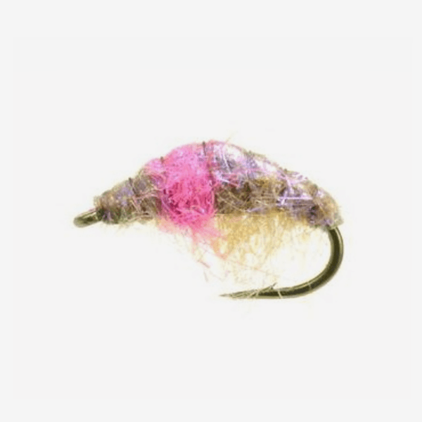 Hunchback Scud fly pattern - Crustacean nymph image