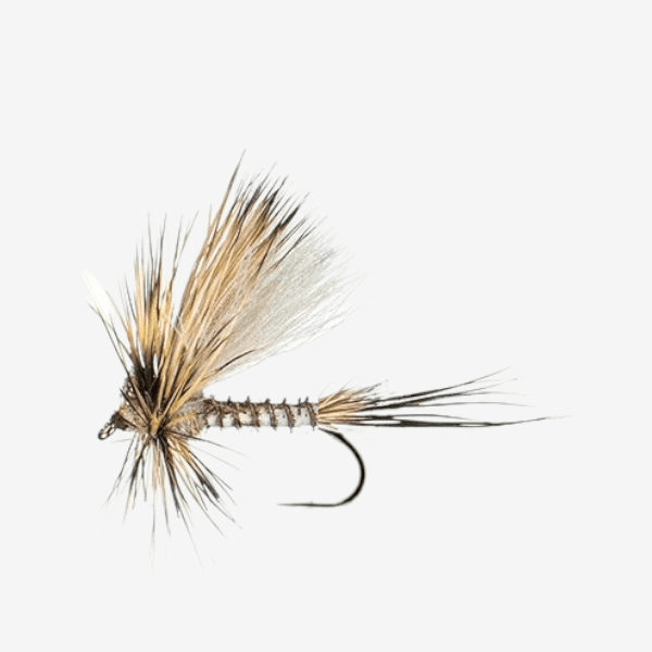 Jake's Hatch Back fly pattern - Mayfly dry image