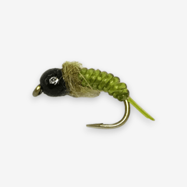 Jelly Caddis image