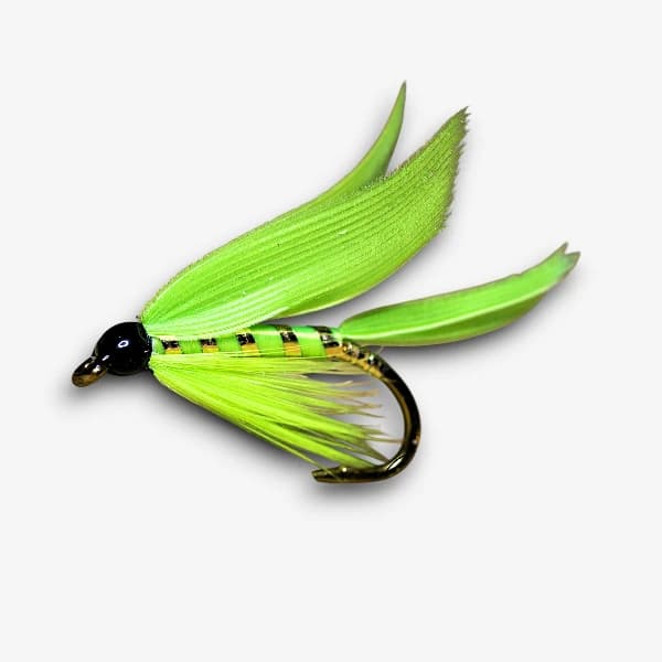 The Katydid fly pattern - Wet Flies terrestrial image