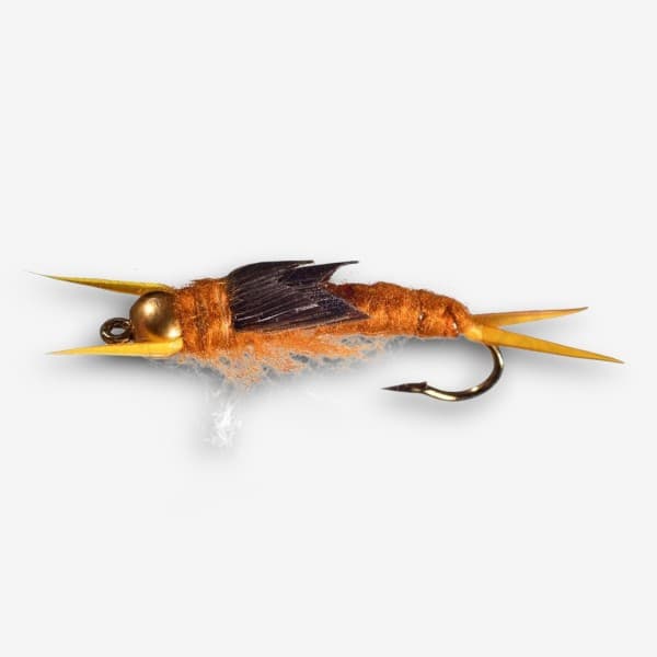 Kaufmann's BH Stonefly image