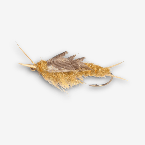 Kaufman's Stonefly nymph image