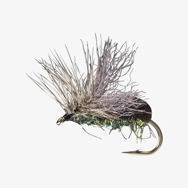 King Splitsville Beetle image