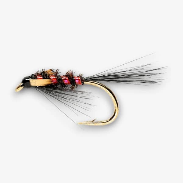 KJ's Black N' Red Diawl Bach image