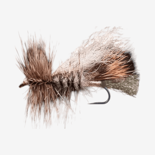Lady Heather Double Wing image