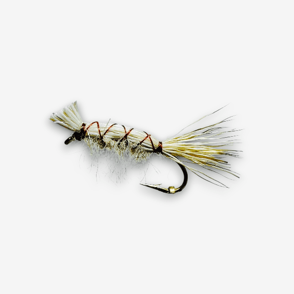 Lee's Ferry Shrimp image
