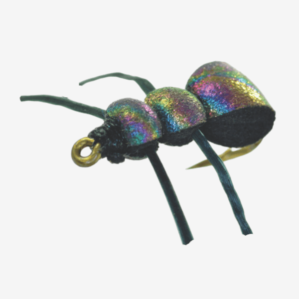 Loco Ant image