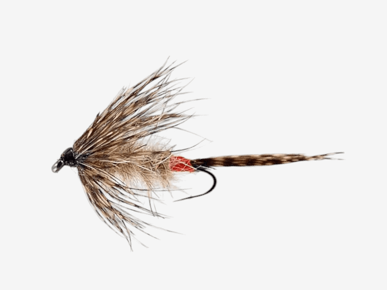 March Brown Spider fly pattern - Wet Flies emerger image