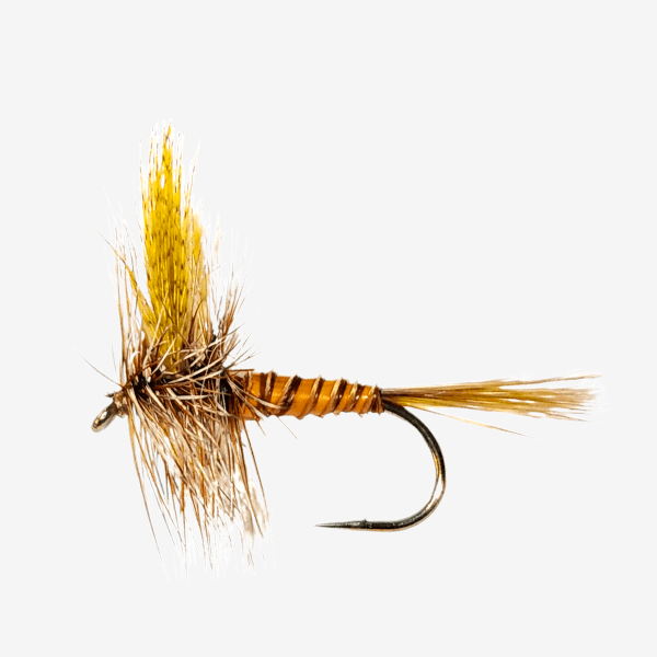 March Brown Dun