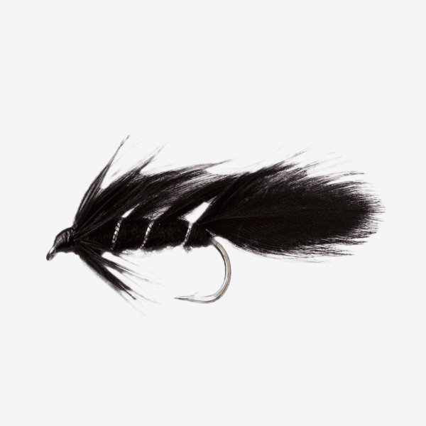 Matuka fly pattern - Streamers Freshwater baitfish image