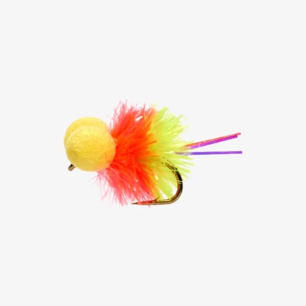 Mini Cocktail Coral Booby image