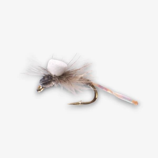 Morgan's Para Midge image