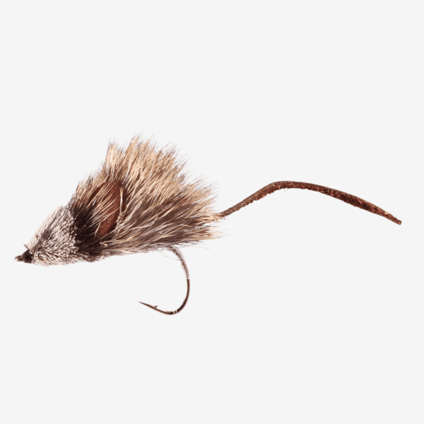 Natural Mouse Fly image