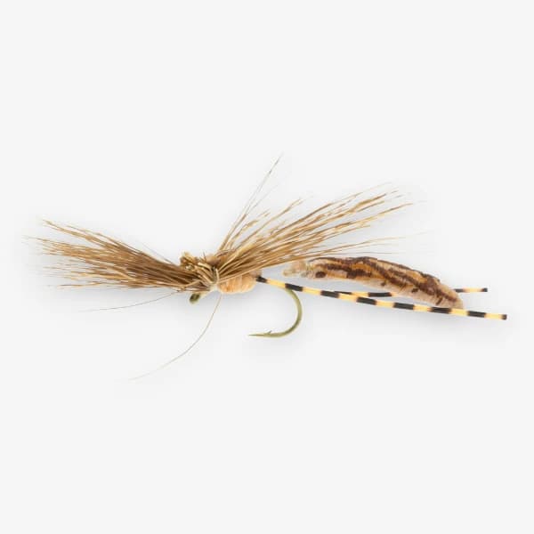 Mr. Jones Cranefly image