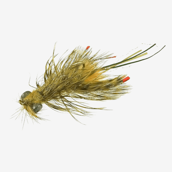 NearNuff Crayfish image
