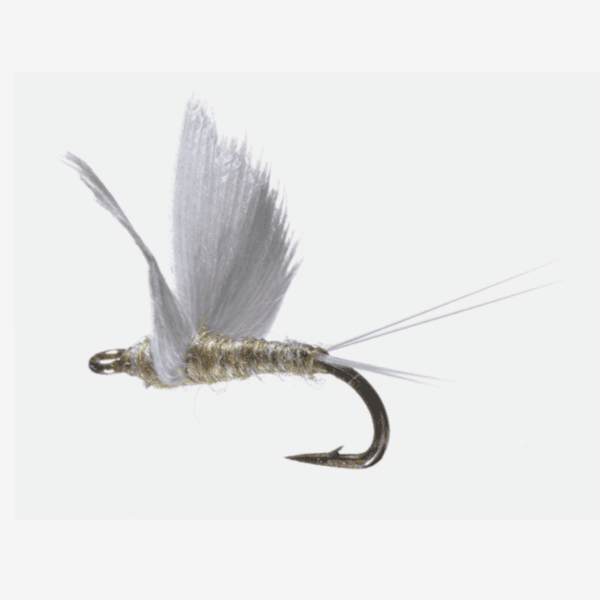 No Hackle Dry fly pattern - Mayfly dry image