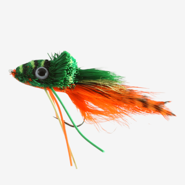 Orange Belly Frog image