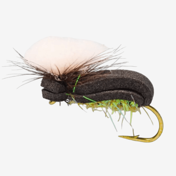 Para Beetle image