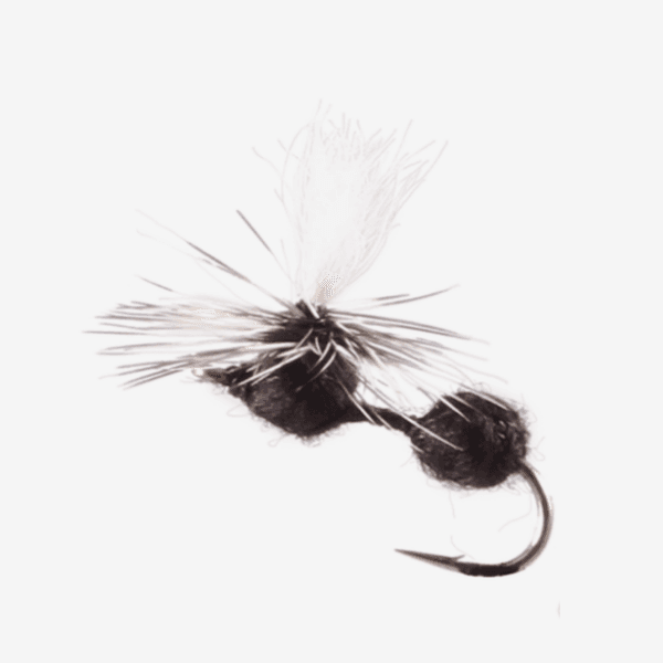 Parachute Ant image