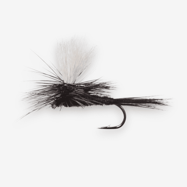 Parachute Black Gnat fly pattern - Terrestrial dry image