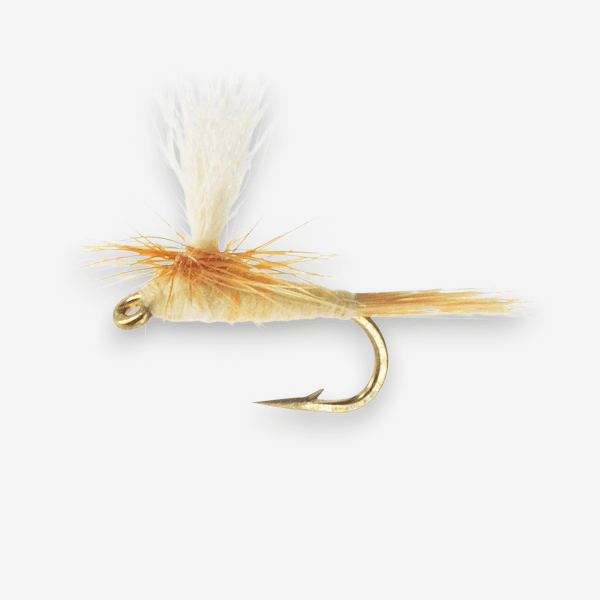 Parachute Light Cahill fly pattern - Light Cahill dry image