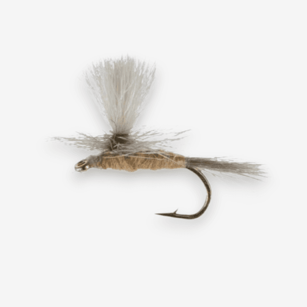 Parachute Hendrickson Light fly pattern - Hendrickson dry image