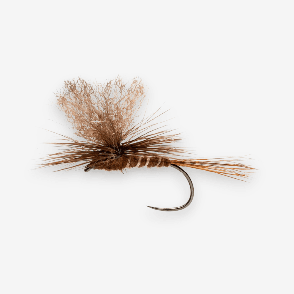 Parachute March Brown fly pattern - March Brown dry image
